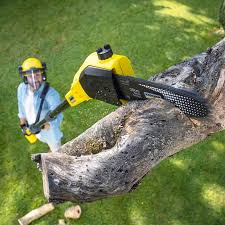 Best Lawn Pest Prevention  in Schuylkill Haven, PA